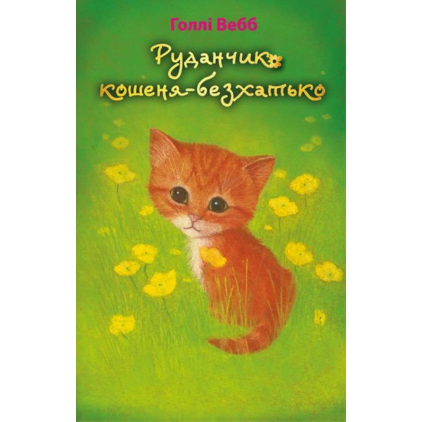 Руданчик — кошеня-безхатько (українською мовою)