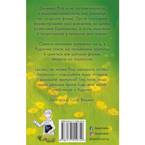 Руданчик — кошеня-безхатько (українською мовою)