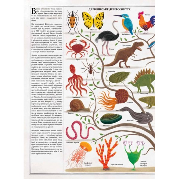 Дерева (українською мовою)