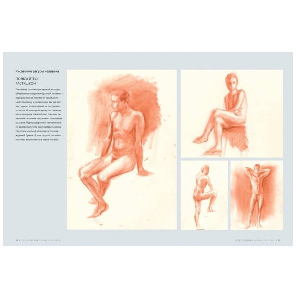 Основи анатомії людини. Наочне керівництво для художників