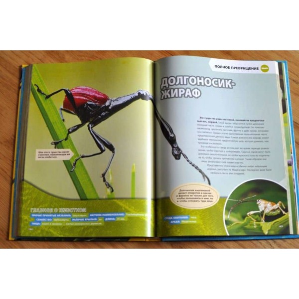 Велика енциклопедія комах (російською мовою)