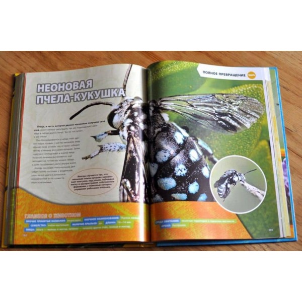 Велика енциклопедія комах (російською мовою)