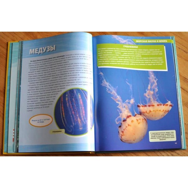 Велика енциклопедія океану (російською мовою)