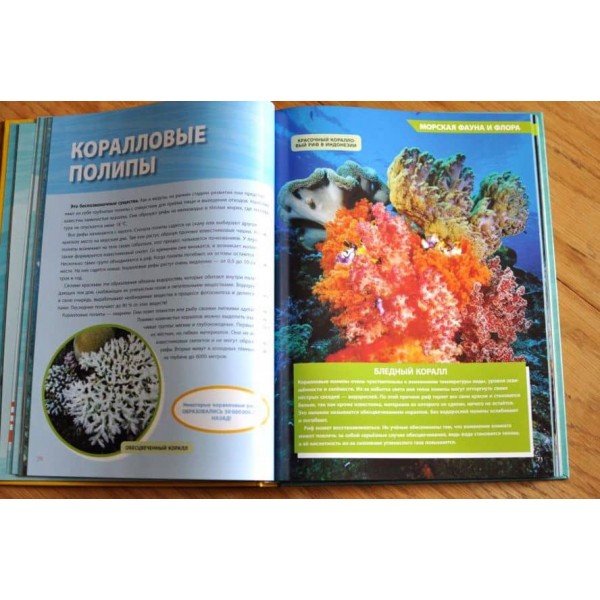 Велика енциклопедія океану (російською мовою)