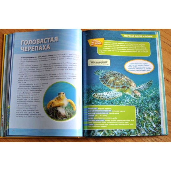 Велика енциклопедія океану (російською мовою)