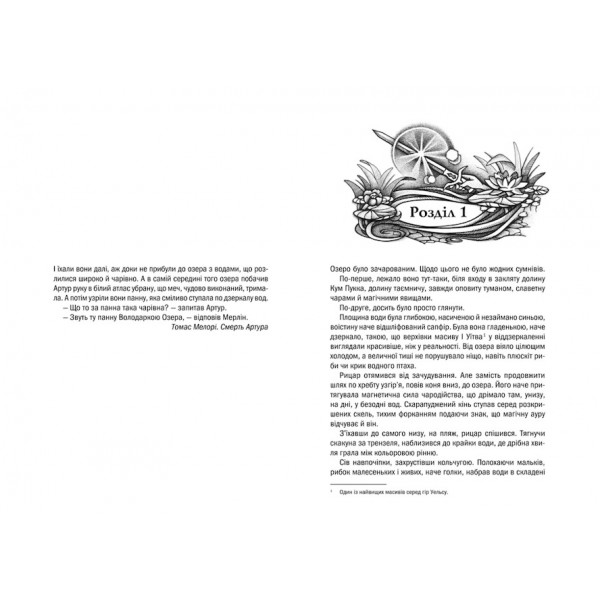 Відьмак. Володарка Озера. Книга 7