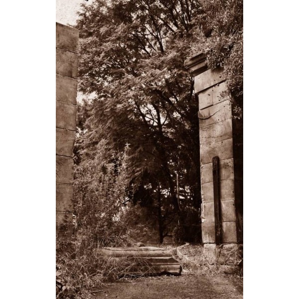 Притулок. Викрадачі кісток. Книга 3