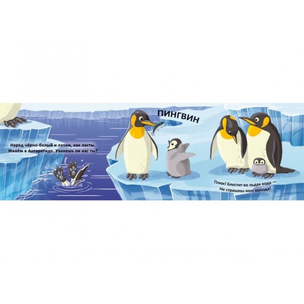 Книжка-схованка з чарівними крилами. Чиї це лапки? (російською мовою)