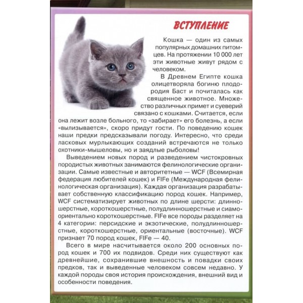 Велика енциклопедія. Кішки та кошенята від А до Я (російською мовою)