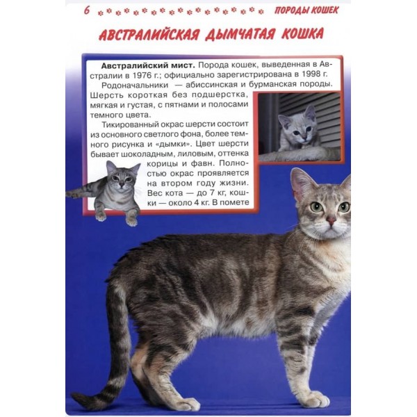 Велика енциклопедія. Кішки та кошенята від А до Я (російською мовою)