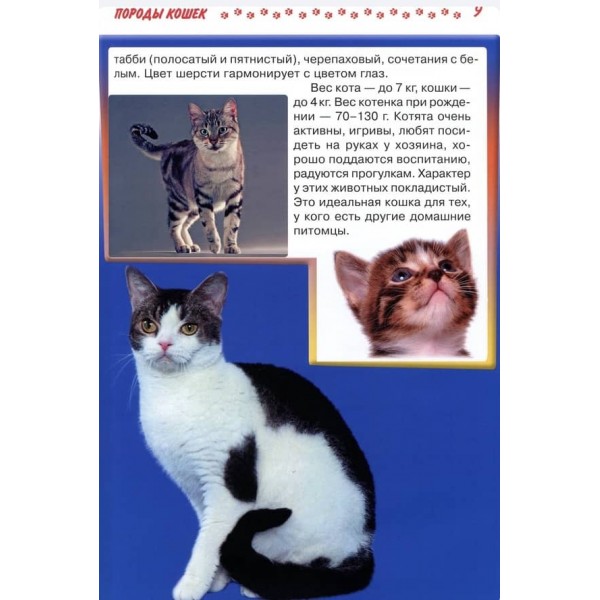 Велика енциклопедія. Кішки та кошенята від А до Я (російською мовою)