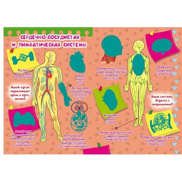 Велика книга. Розвиваючі наклейки. Розумні завдання. Тіло людини (російською мовою)