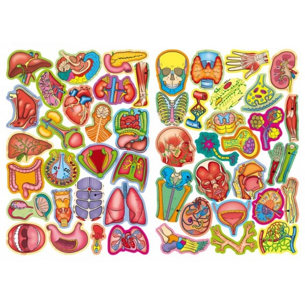 Велика книга. Розвиваючі наклейки. Розумні завдання. Тіло людини (російською мовою)