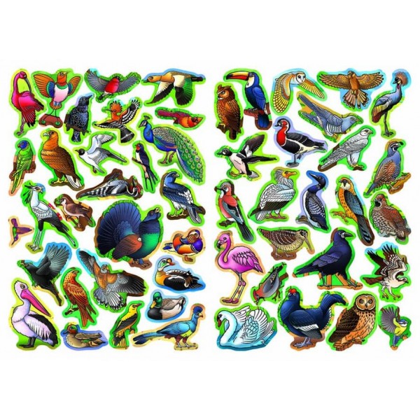 Велика книжка. Розвивальні наліпки. Розумні завдання. Птахи (українською мовою)