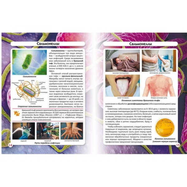 Світ навколо нас. Бактерії (російською мовою)