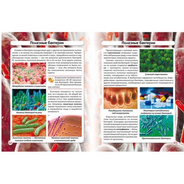 Світ навколо нас. Бактерії (російською мовою)