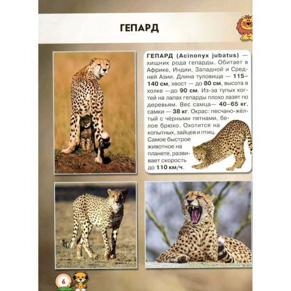 Світ навколо нас. Великі кішки (російською мовою)