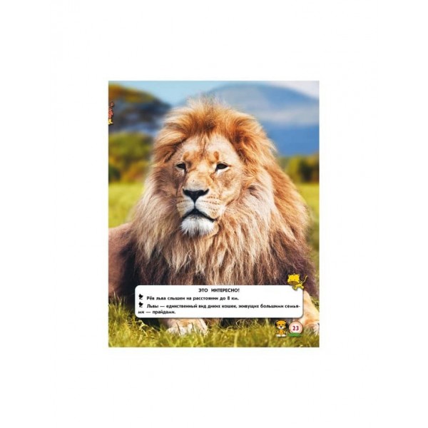 Світ навколо нас. Великі кішки (російською мовою)