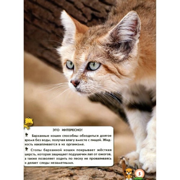 Світ навколо нас. Великі кішки (російською мовою)