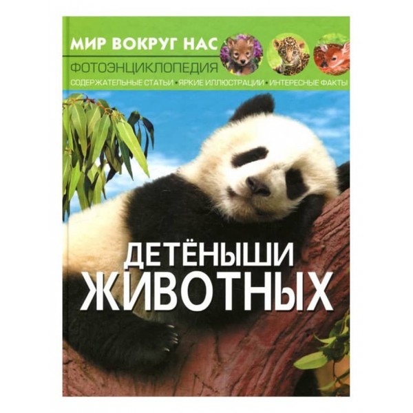 Світ навколо нас. Дитинчата тварин (російською мовою)