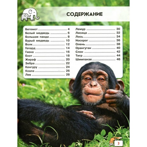 Світ навколо нас. Дитинчата тварин (російською мовою)