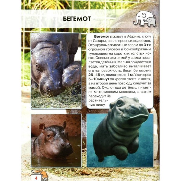 Світ навколо нас. Дитинчата тварин (російською мовою)