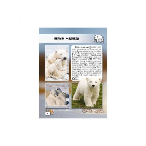 Світ навколо нас. Дитинчата тварин (російською мовою)