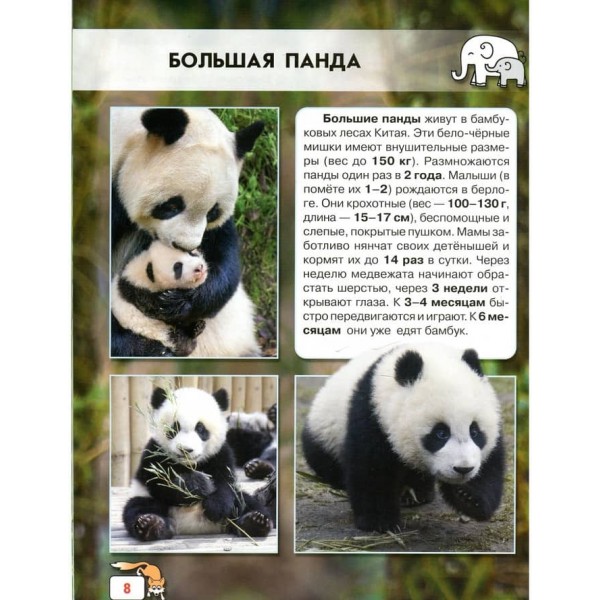 Світ навколо нас. Дитинчата тварин (російською мовою)