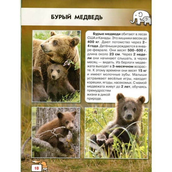 Світ навколо нас. Дитинчата тварин (російською мовою)