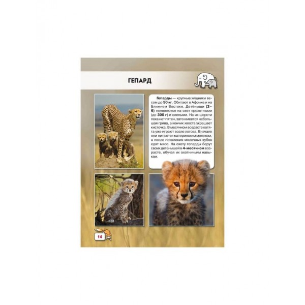 Світ навколо нас. Дитинчата тварин (російською мовою)