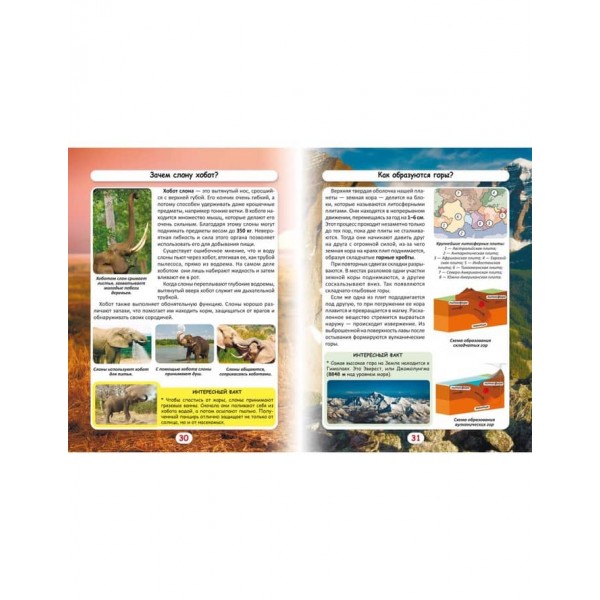 Світ навколо нас. Як? Навіщо? Чому? Цікаві факти про світ і людину (російською мовою)