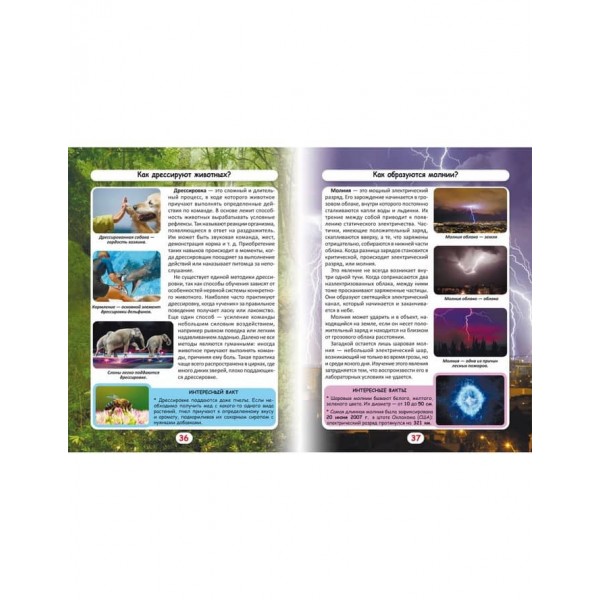 Світ навколо нас. Як? Навіщо? Чому? Цікаві факти про світ і людину (російською мовою)