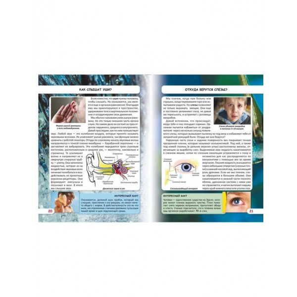 Світ навколо нас. Як працює твоє тіло (російською мовою)