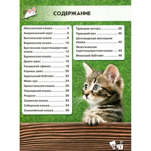 Світ навколо нас. Кішки (російською мовою)