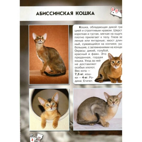 Світ навколо нас. Кішки (російською мовою)