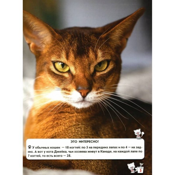 Світ навколо нас. Кішки (російською мовою)