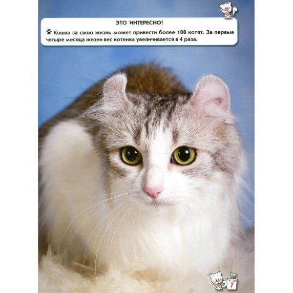 Світ навколо нас. Кішки (російською мовою)