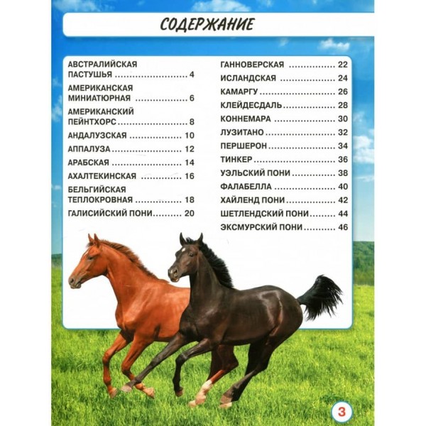 Світ навколо нас. Коні (російською мовою)