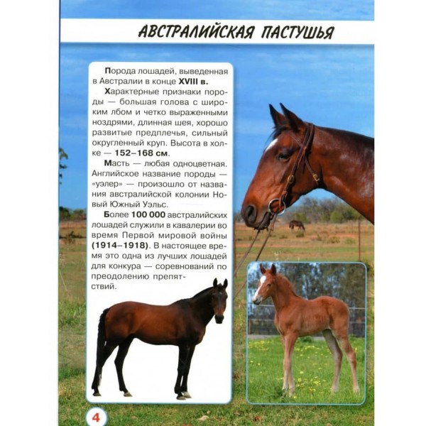 Світ навколо нас. Коні (російською мовою)