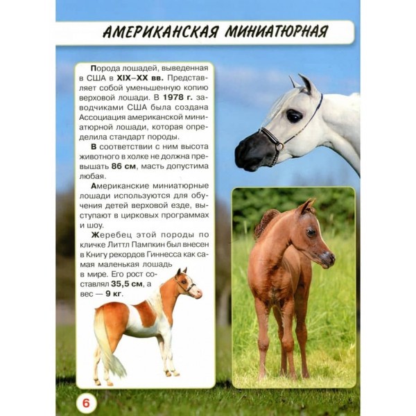 Світ навколо нас. Коні (російською мовою)