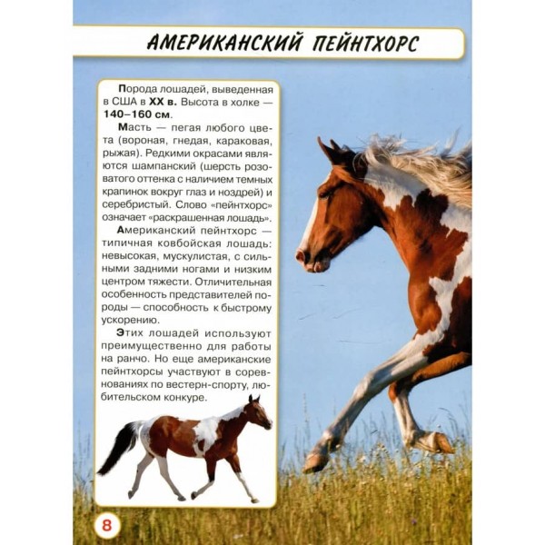 Світ навколо нас. Коні (російською мовою)