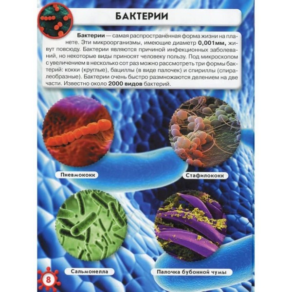 Світ навколо нас. Мікросвіт (російською мовою)