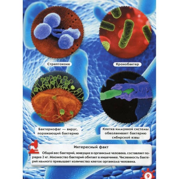 Світ навколо нас. Мікросвіт (російською мовою)