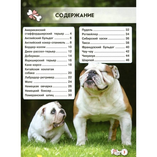 Світ навколо нас. Собаки (російською мовою)