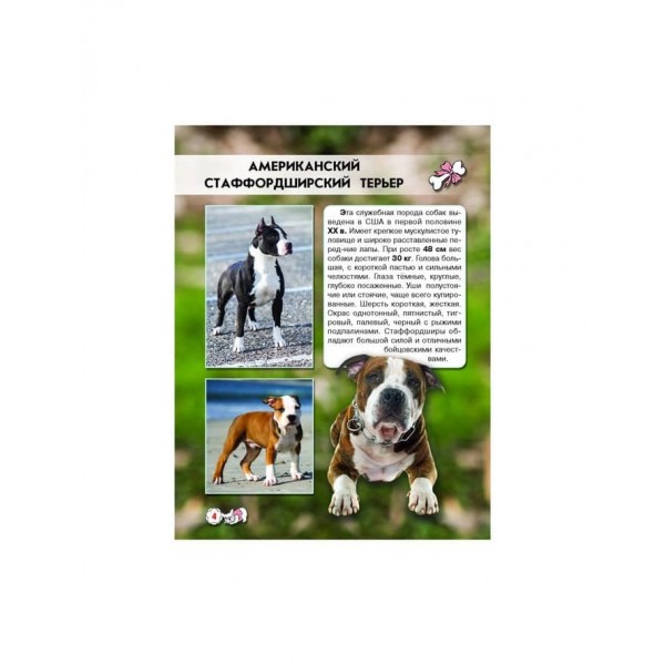 Світ навколо нас. Собаки (російською мовою)