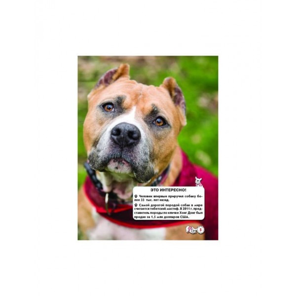 Світ навколо нас. Собаки (російською мовою)