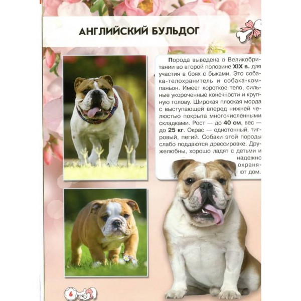 Світ навколо нас. Собаки (російською мовою)