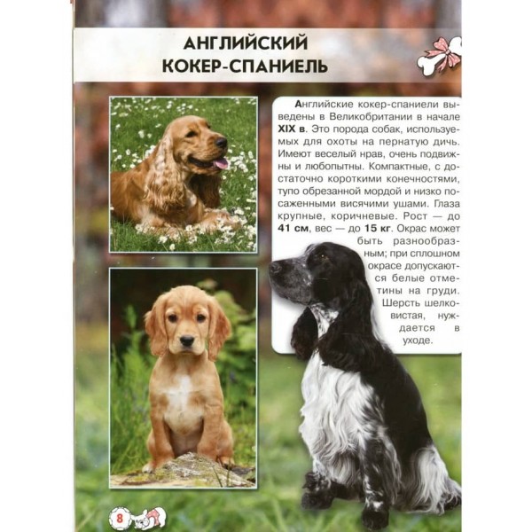 Світ навколо нас. Собаки (російською мовою)