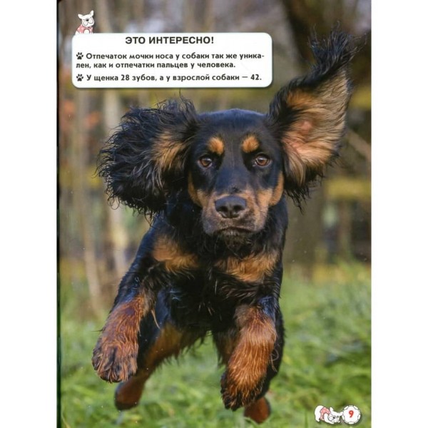 Світ навколо нас. Собаки (російською мовою)