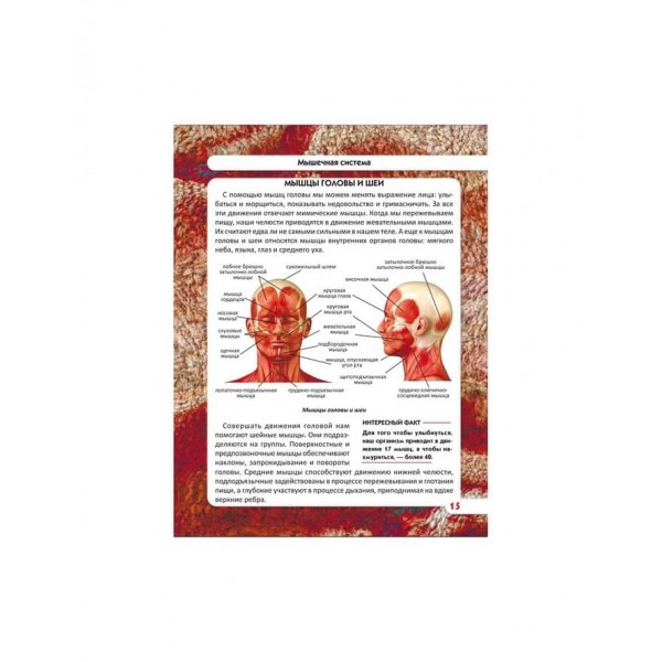 Світ навколо нас. Тіло людини (російською мовою)